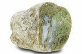 Moss Agate Replaced Wood Cast - Oregon #373526-2